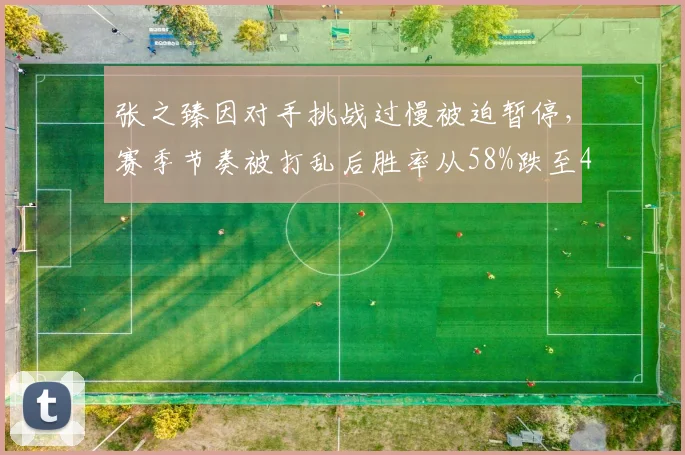 张之臻因对手挑战过慢被迫暂停，赛季节奏被打乱后胜率从58%跌至41%